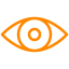 Vision Icon